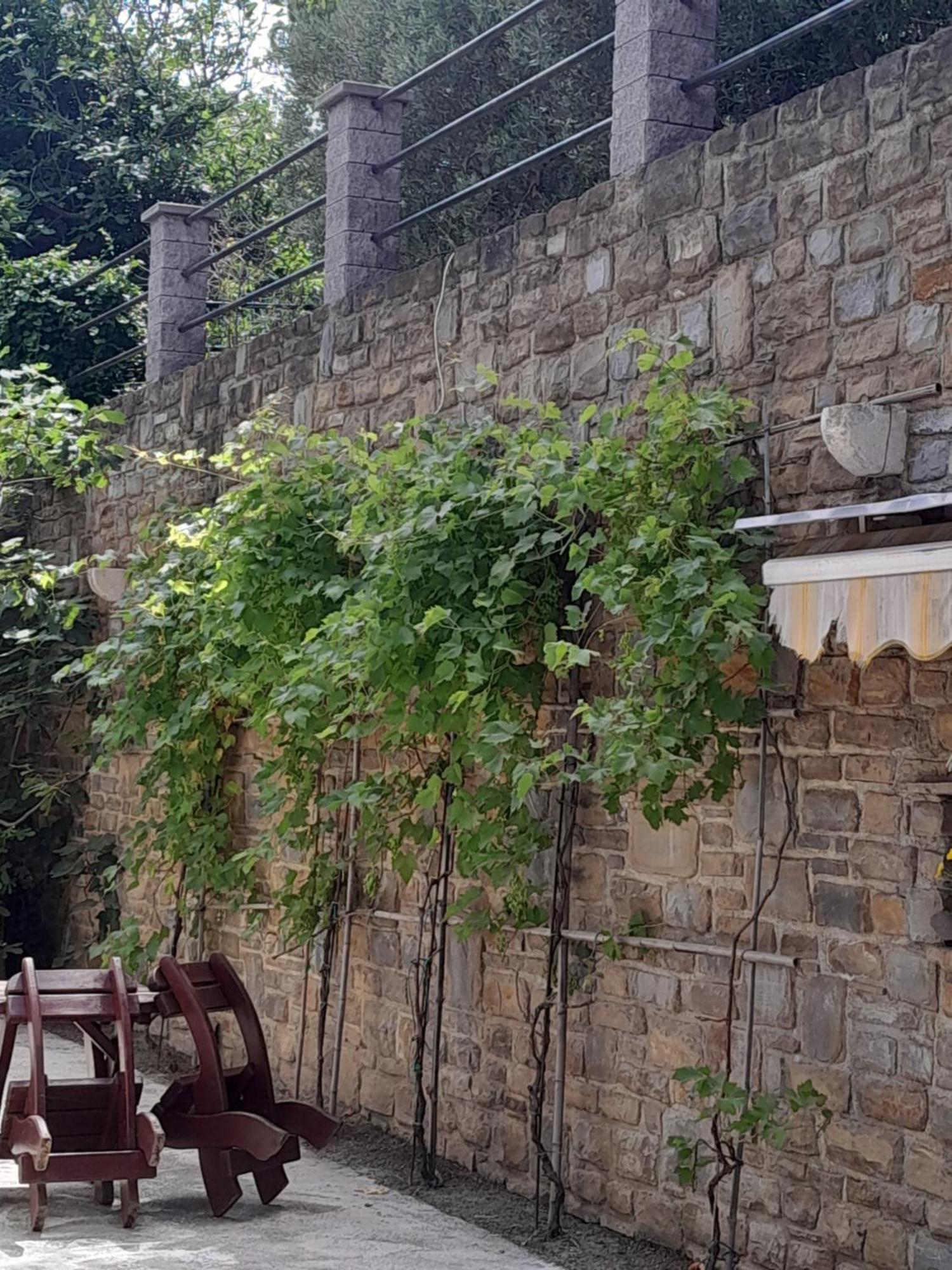 Apartmaji Strunjan Exteriér fotografie